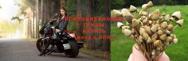 ECSTASY Касимов