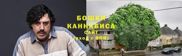 COCAINE Каменка
