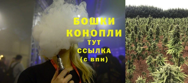 дживик Каменногорск