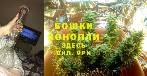 гидропоника Карпинск